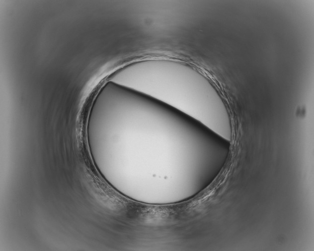 X0000089720343200706210859