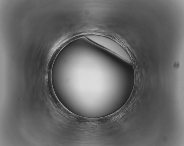 X0000089720344200706210859