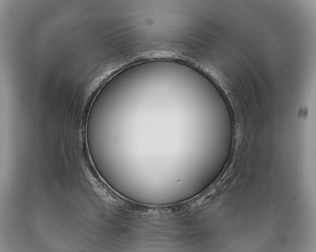 X0000089720345200706210859