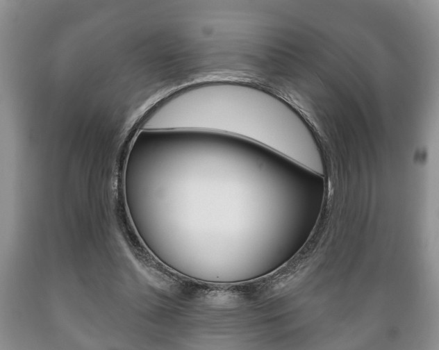 X0000089720348200706210859