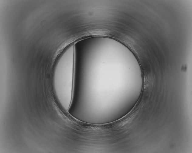 X0000089720349200706210859