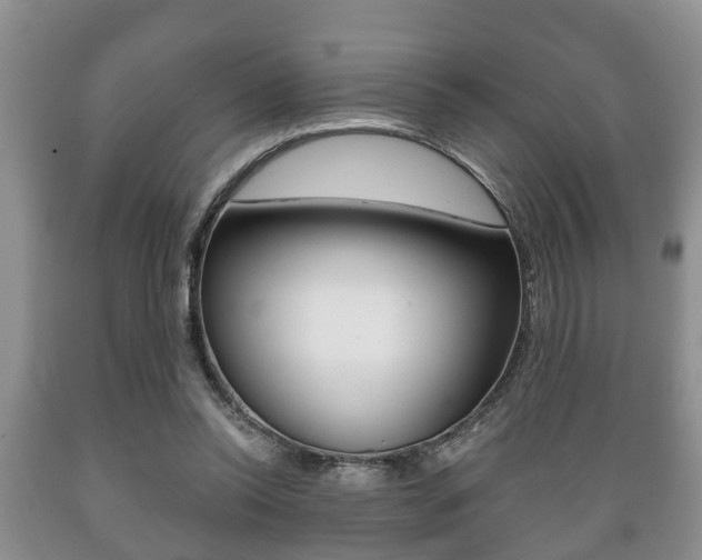 X0000089720350200706210859