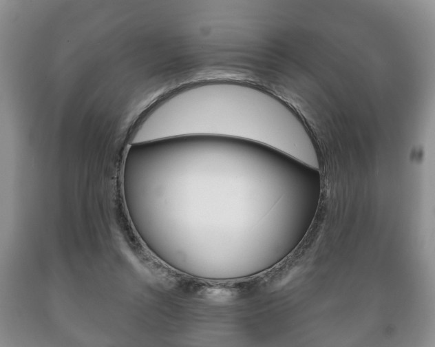 X0000089720352200706210859
