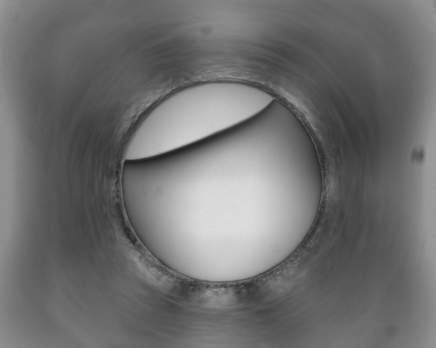 X0000089720353200706210859
