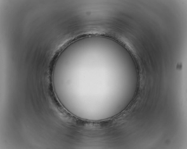 X0000089720354200706210859