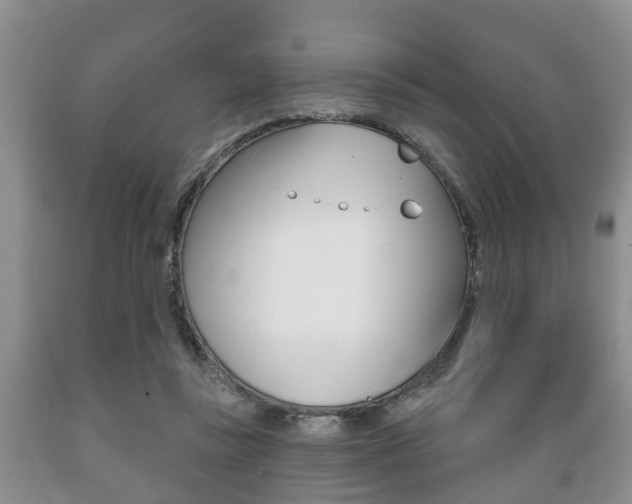 X0000089720355200706210859