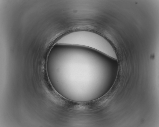 X0000089720356200706210859