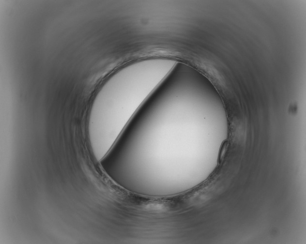 X0000089720358200706210859