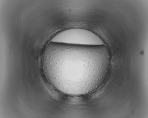 X0000089720359200706210859