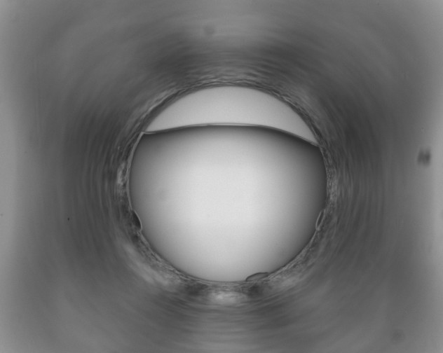 X0000089720360200706210859