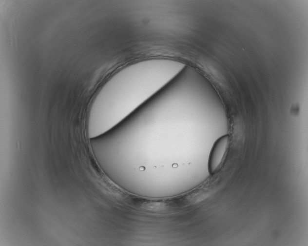 X0000089720361200706210859