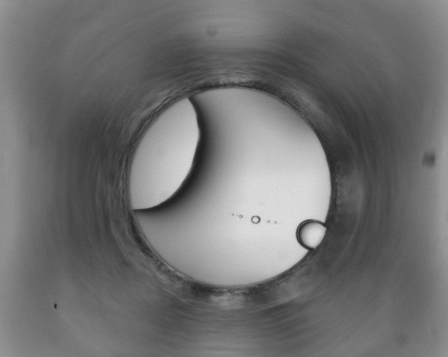 X0000089720362200706210859