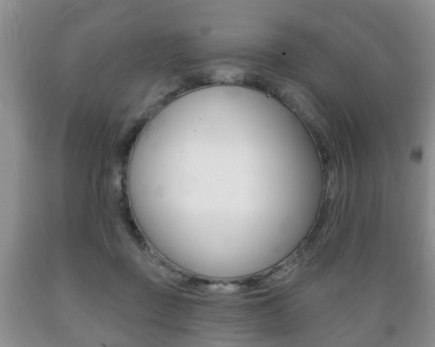 X0000089720363200706210859