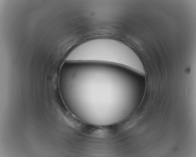 X0000089720364200706210859