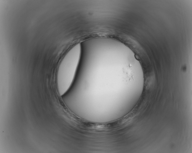 X0000089720365200706210859