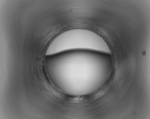 X0000089720366200706210859