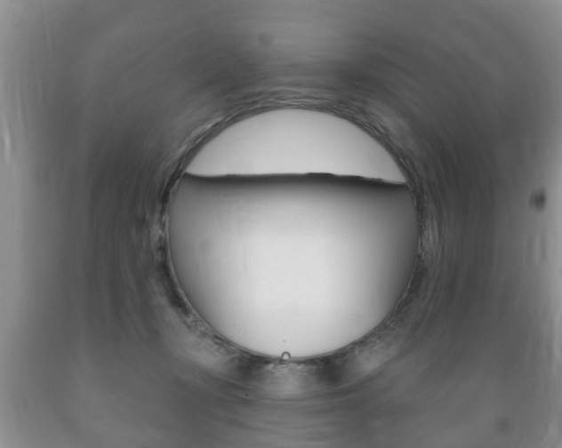 X0000089720367200706210859