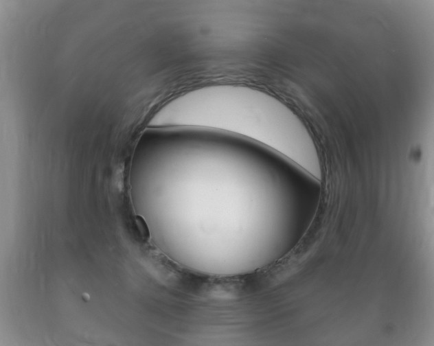 X0000089720368200706210859