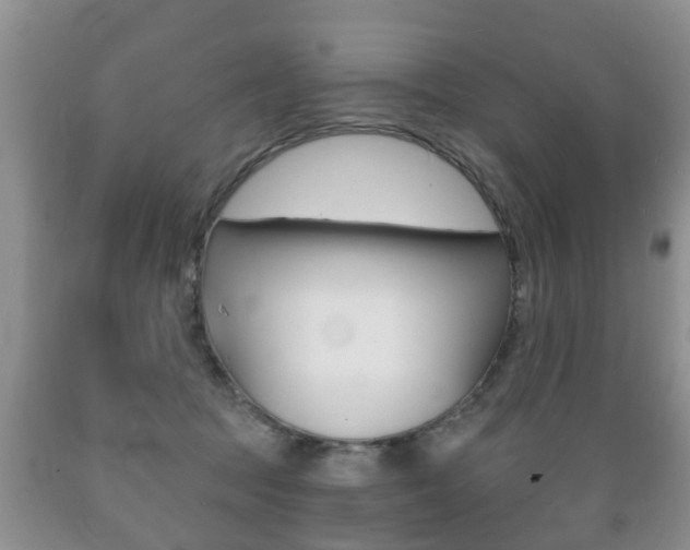 X0000089720369200706210859