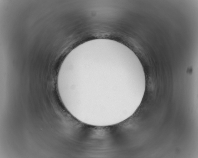 X0000089720370200706210859