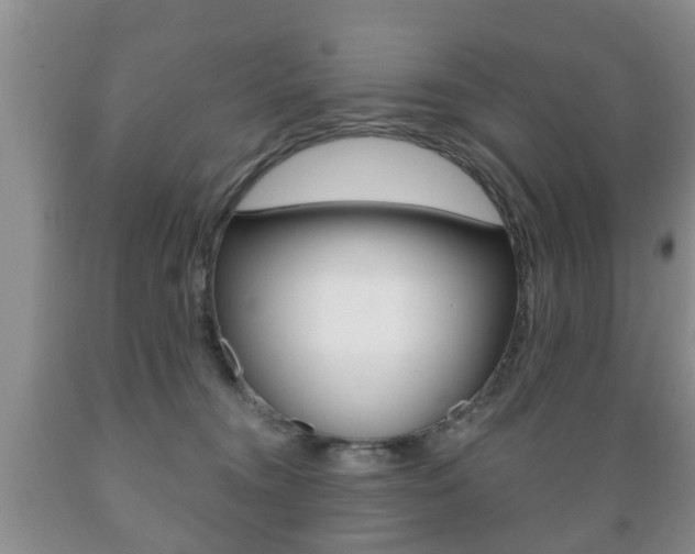 X0000089720372200706210859