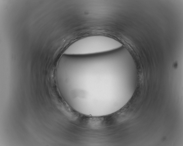 X0000089720373200706210859