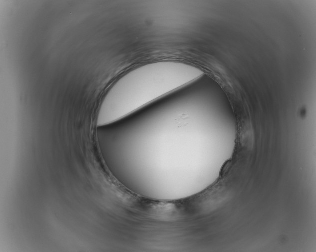 X0000089720374200706210859