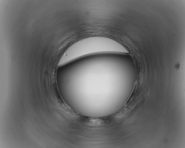 X0000089720376200706210859
