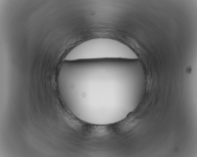 X0000089720377200706210859