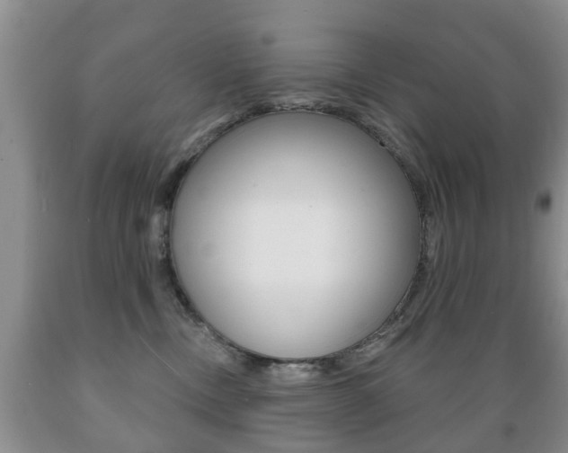 X0000089720378200706210859