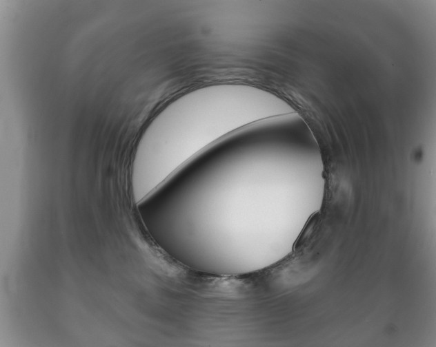 X0000089720379200706210859