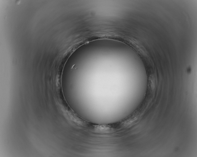 X0000089720380200706210859