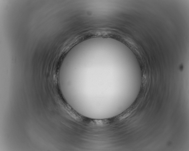X0000089720381200706210859