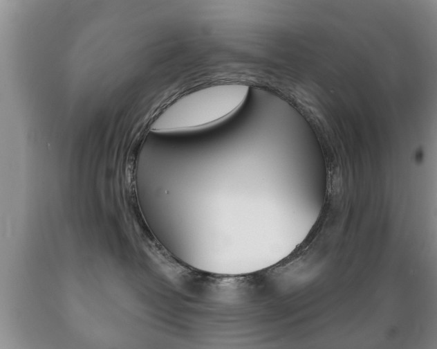 X0000089720382200706210859
