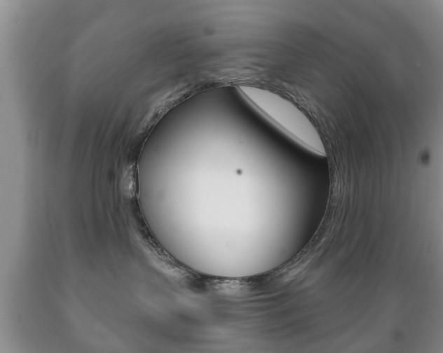 X0000089720383200706210859