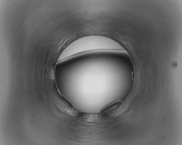 X0000089720384200706210859
