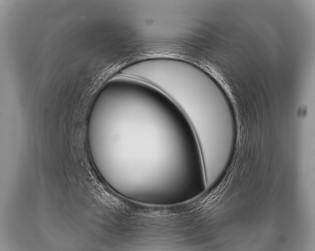 X0000089720385200706210859