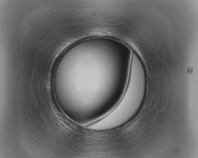 X0000089720387200706210858
