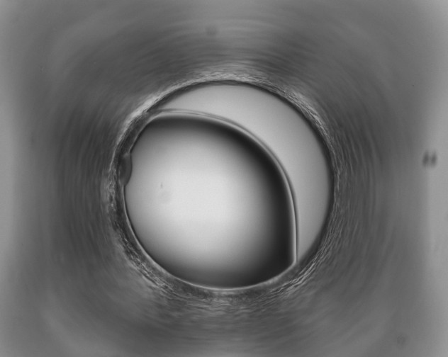 X0000089720388200706210858