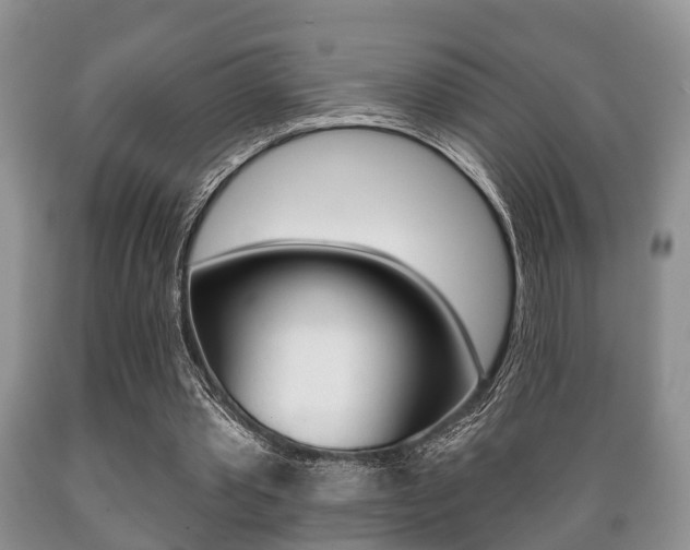 X0000089720389200706210858