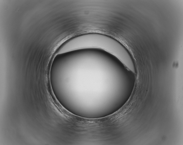 X0000089720390200706210858