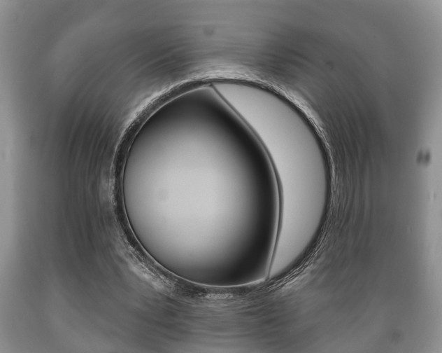 X0000089720391200706210858