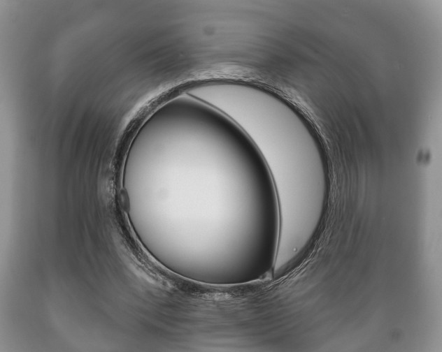 X0000089720392200706210858
