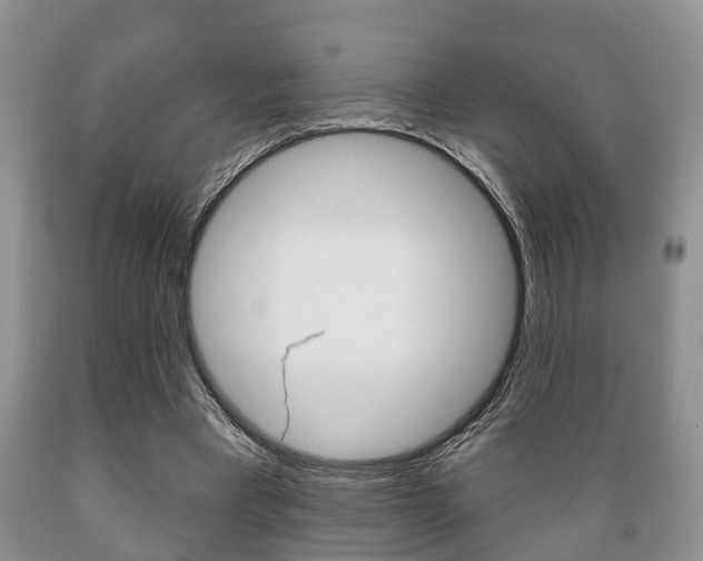 X0000089720393200706210858
