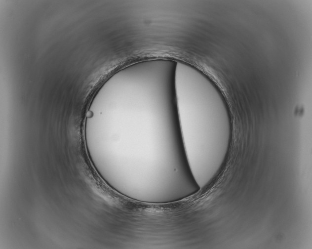 X0000089720394200706210858