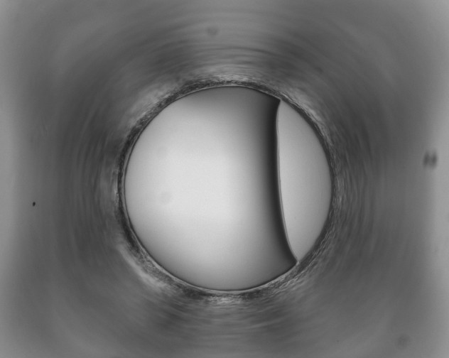 X0000089720398200706210858