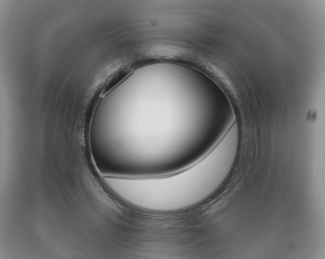 X0000089720399200706210858