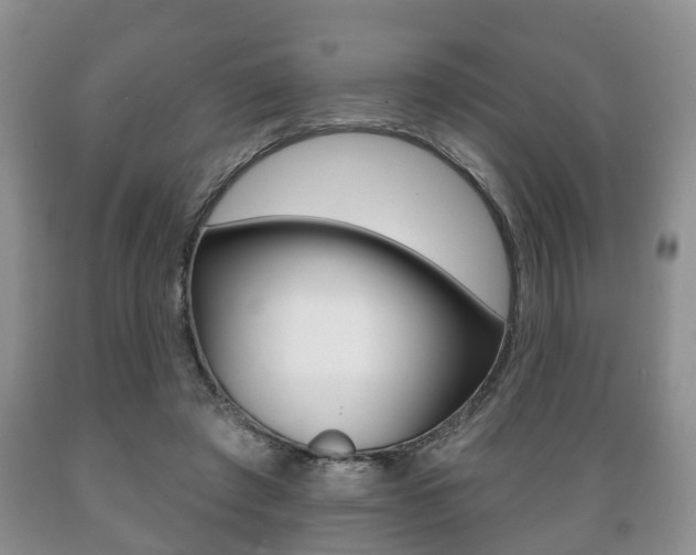 X0000089720401200706210858