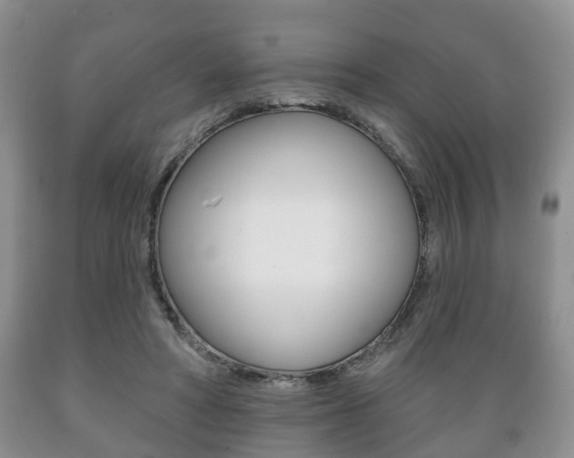 X0000089720402200706210858