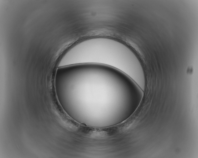 X0000089720403200706210858